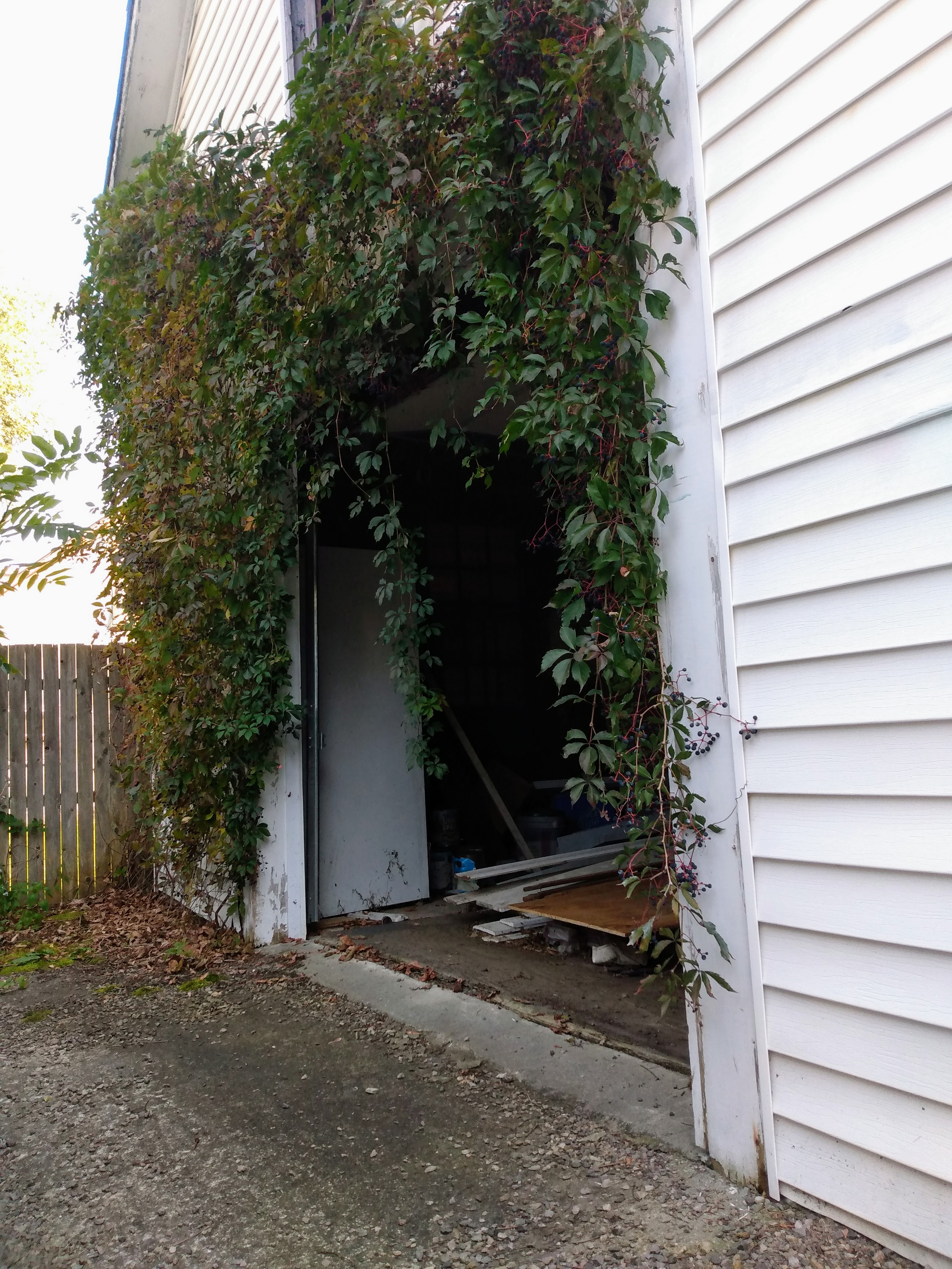 The old garage