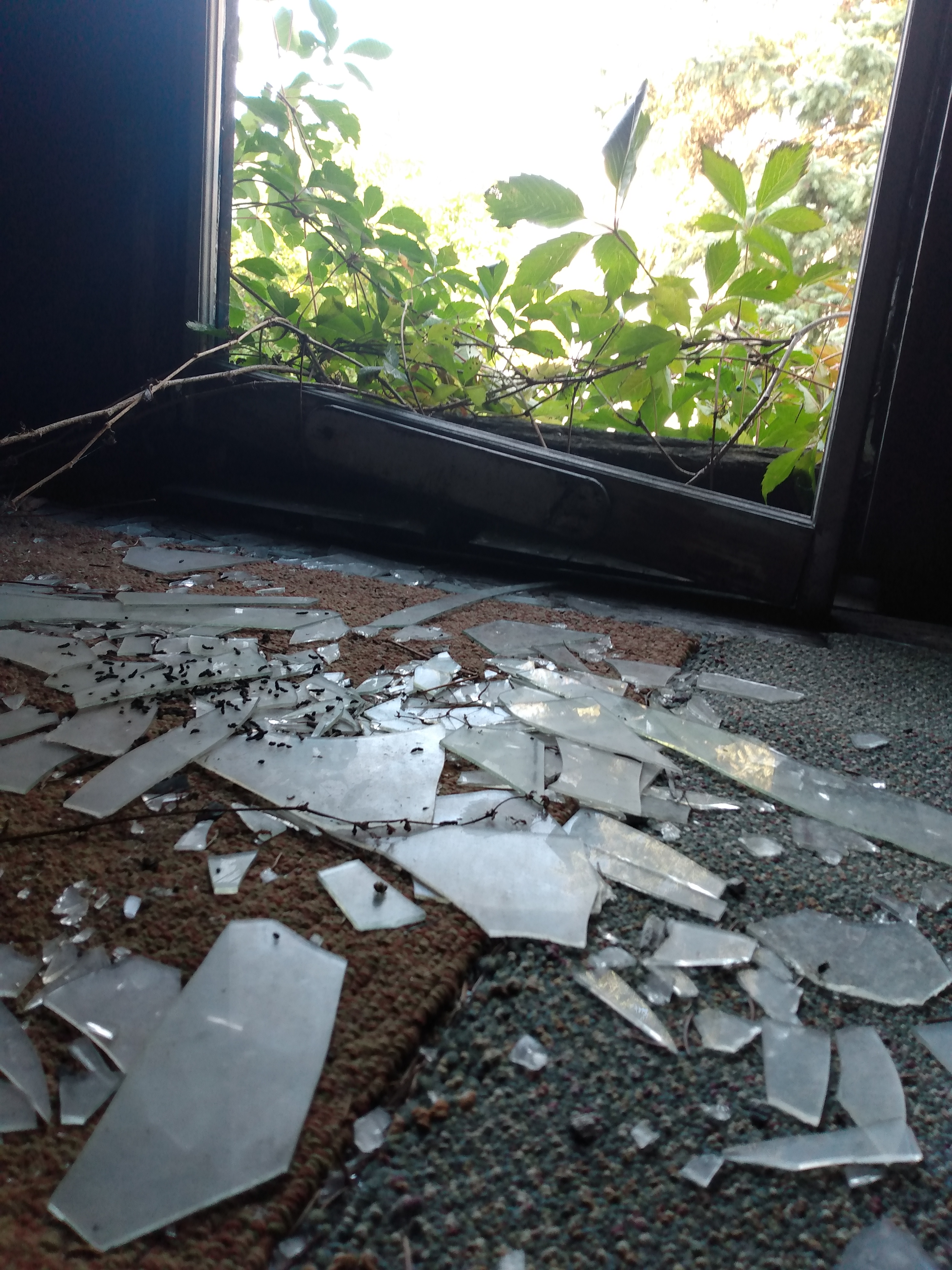 glass on the floor!