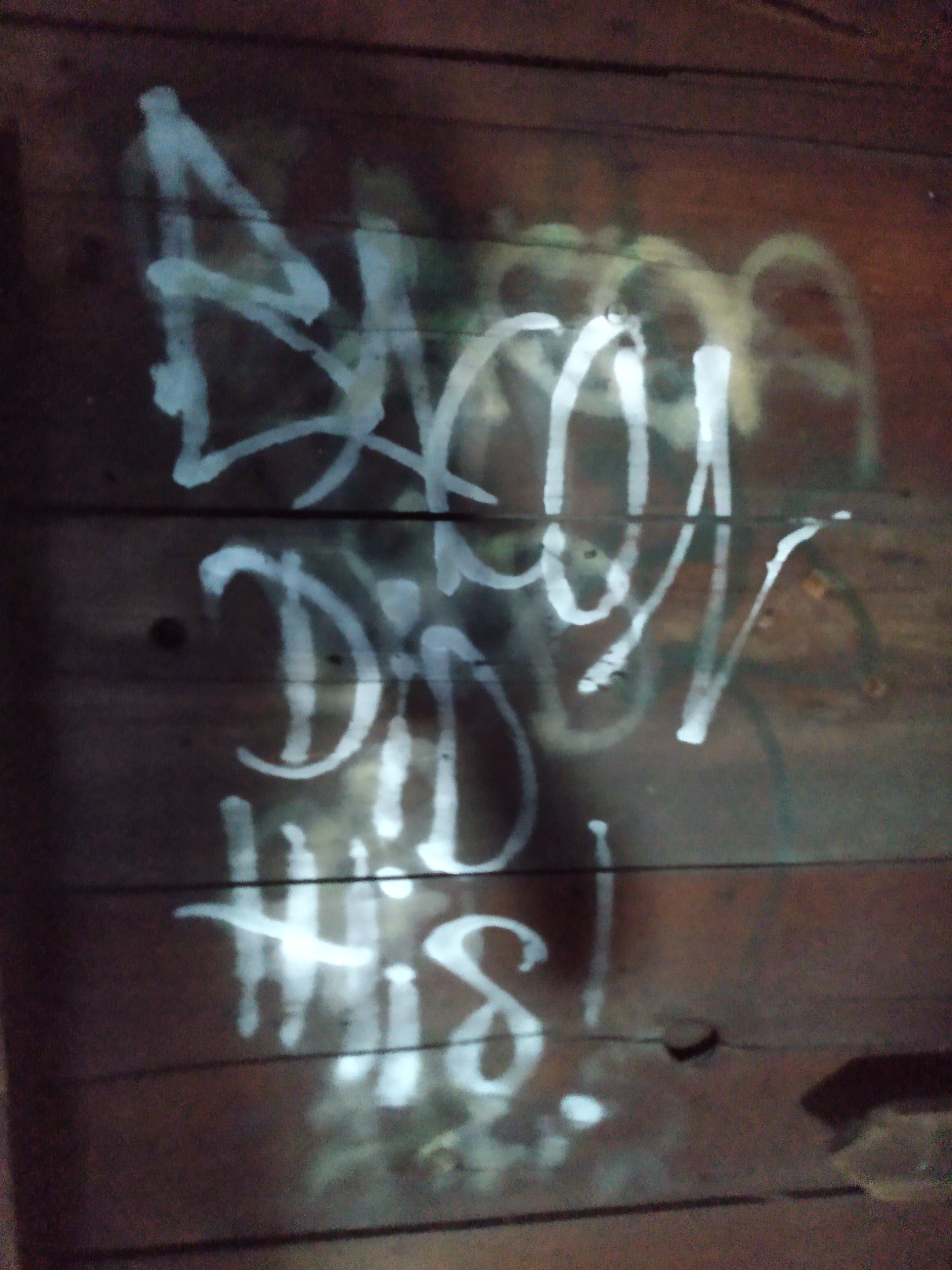 graffiti: bacon did this